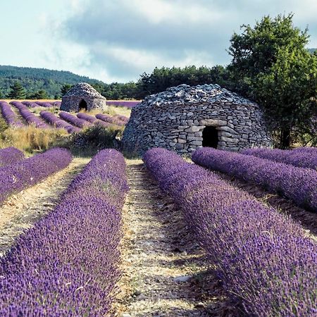 Le Cabanon Des Lavandes Entre Mont Ventoux Et Luberon Sault-de-Vaucluse Buitenkant foto